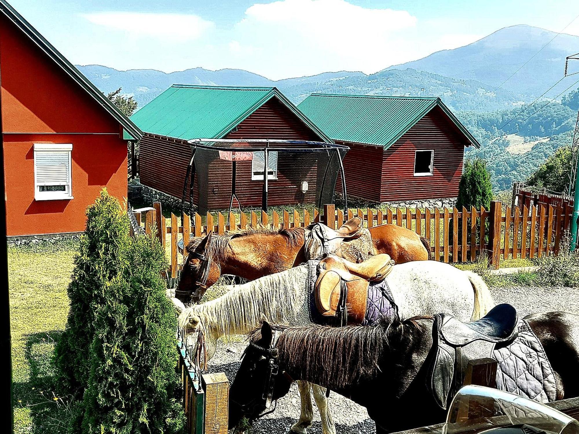 Ethno Village & Coric